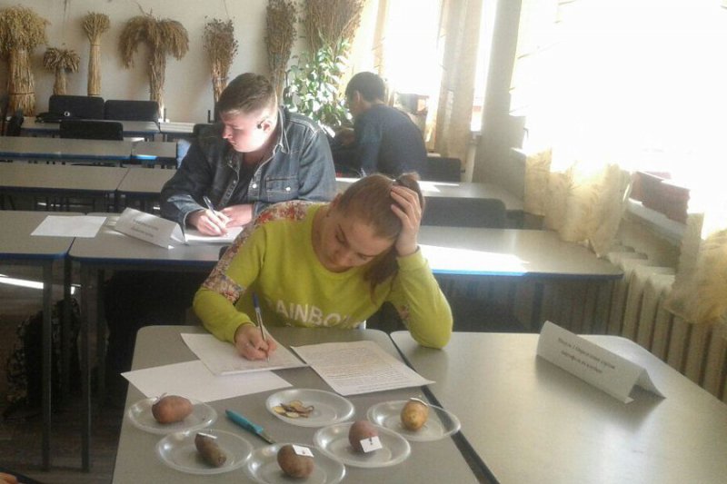 Итоги регионального этапа Всероссийских олимпиад профессионального мастерства по агрономии и ветеринарии