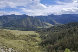 Грозы как фактор риска: связь между молниями и лесными пожарами на Алтае