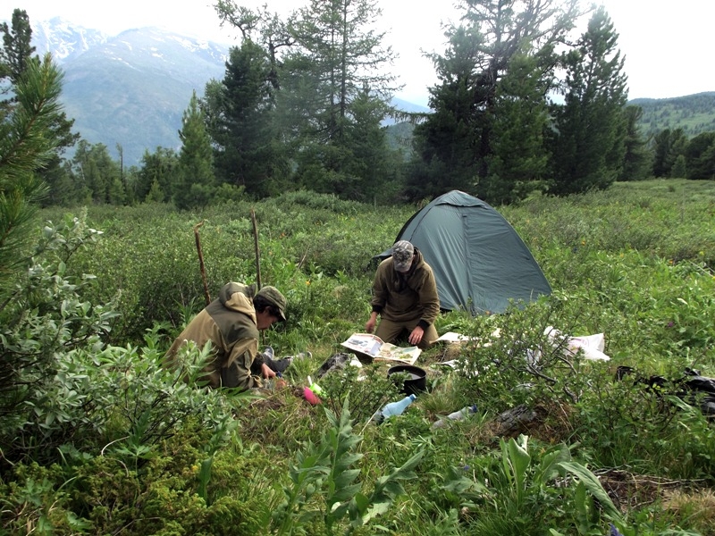  Студенты ЕГФ вернулись с полевой практики, проходившей в Алтайском государственном природном биосферном заповеднике